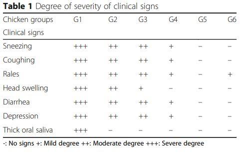 Interaction between avian influenza subtype H9N2 and Newcastle disease virus vaccine strain (LaSota) in chickens - Image 1