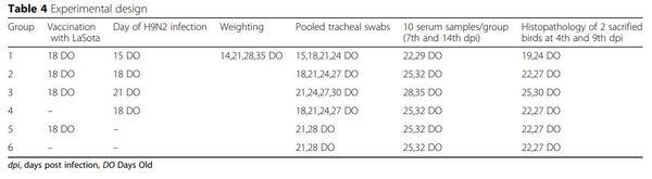 Interaction between avian influenza subtype H9N2 and Newcastle disease virus vaccine strain (LaSota) in chickens - Image 11