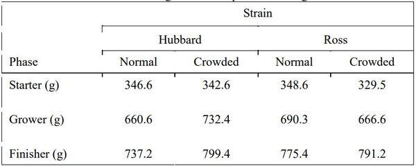 Effect of breed and density on growth performance and carcass traits of two broiler breeds - Image 2