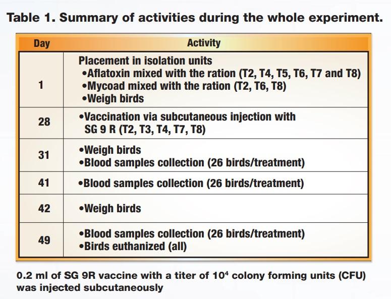 Cellular immune response after vaccination with SG 9R in birds fed Aflatoxin and a mycotoxin adsorbent in the diet - Image 1
