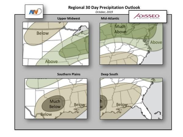 Adisseo’s United States 30 Day Outlook (October, 2019) - Image 3