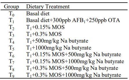 Ameliorative Impact of Mannan Oligosaccharide and Sodium Butyrate on Carcass Traits and Organ Weights During Simultaneous Aflatoxicosis and Ochratoxicosis in Broiler Chickens - Image 1
