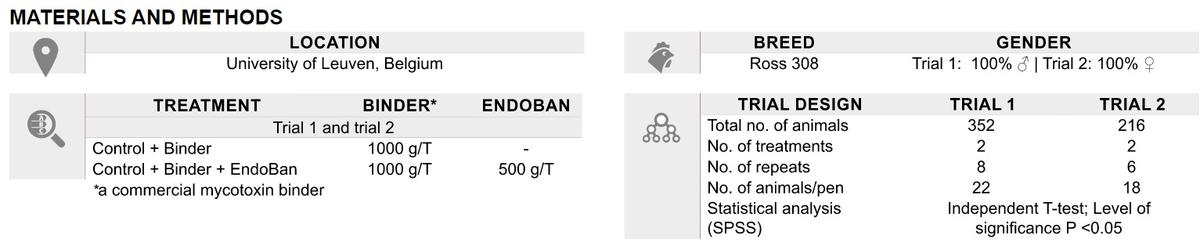 Improving broiler performance by reducing the threat of endotoxins - Image 1