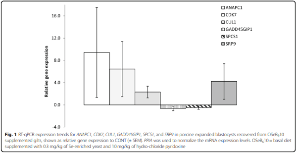 Gene ontology analysis of expanded porcine blastocysts from gilts fed organic or inorganic selenium combined with pyridoxine - Image 2