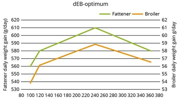 Precision nutrition for high performance broilers - Image 15