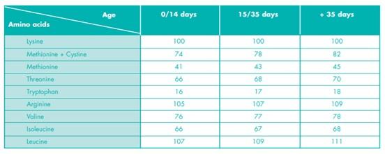 Precision nutrition for high performance broilers - Image 12