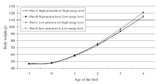 Precision nutrition for high performance broilers - Image 9