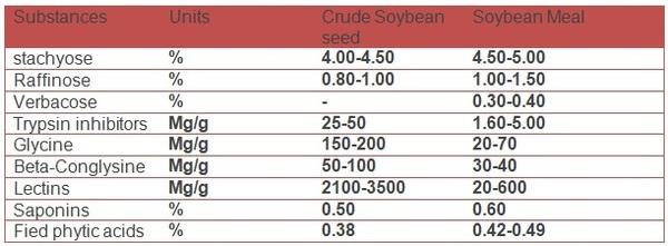 Precision nutrition for high performance broilers - Image 6