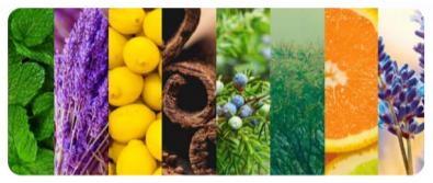 Essential oil fortification and their applications in poultry - Image 1