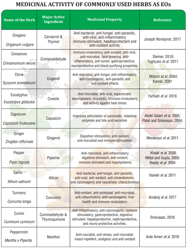 Essential oil fortification and their applications in poultry - Image 8