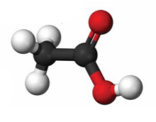 Essential oil fortification and their applications in poultry - Image 6