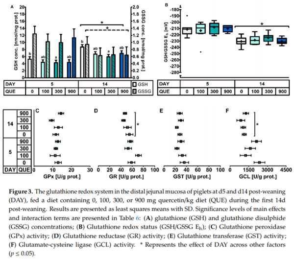 The Effect of Dietary Quercetin on the Glutathione Redox System and Small Intestinal Functionality of Weaned Piglets - Image 10