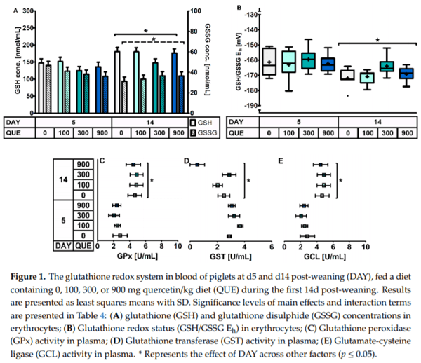 The Effect of Dietary Quercetin on the Glutathione Redox System and Small Intestinal Functionality of Weaned Piglets - Image 6