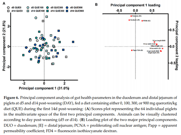 The Effect of Dietary Quercetin on the Glutathione Redox System and Small Intestinal Functionality of Weaned Piglets - Image 15