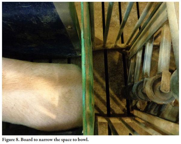 Gilt Training for Electronic Sow Feeding Systems in Gestation - Image 8