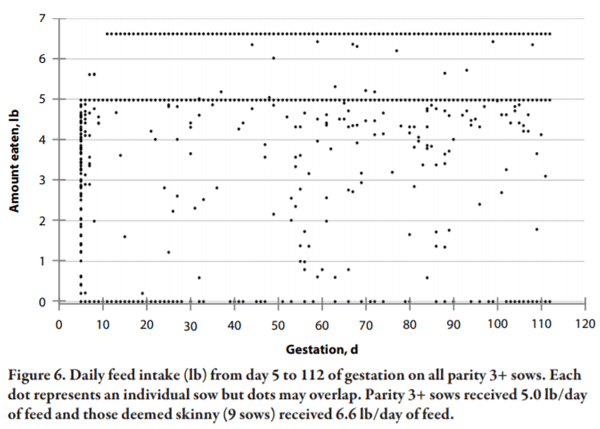 Lessons Learned from Managing Electronic Sow Feeders and Sow Body Weight Data - Image 6