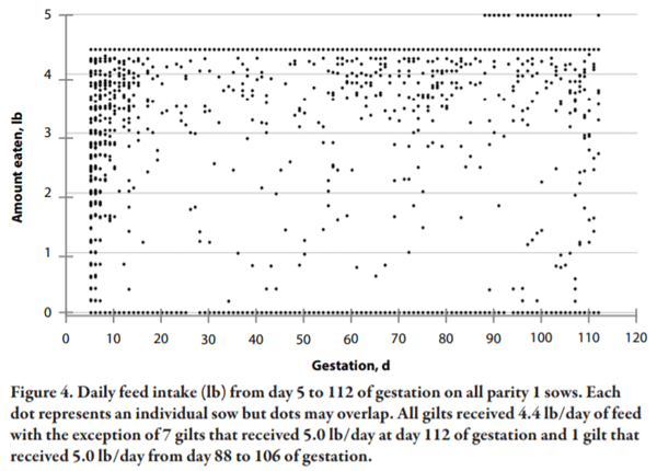 Lessons Learned from Managing Electronic Sow Feeders and Sow Body Weight Data - Image 4