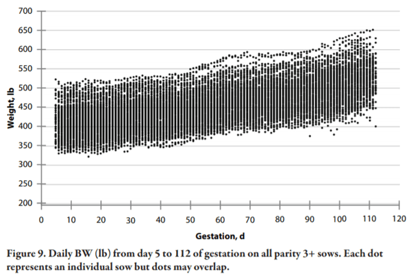 Lessons Learned from Managing Electronic Sow Feeders and Sow Body Weight Data - Image 9