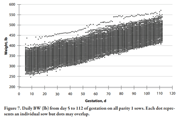 Lessons Learned from Managing Electronic Sow Feeders and Sow Body Weight Data - Image 7
