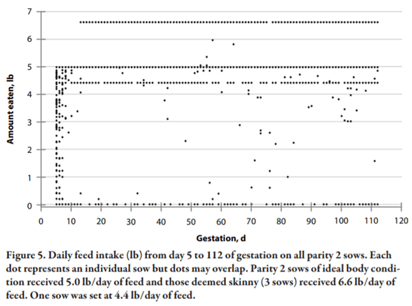 Lessons Learned from Managing Electronic Sow Feeders and Sow Body Weight Data - Image 5