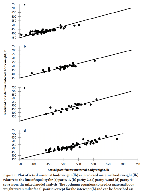 Generating an Equation to Predict Post-Farrow Maternal Weight in Multiple Parity Sows - Image 3