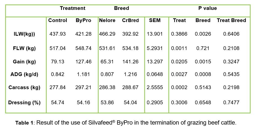 Improved Performance of Grass-fed Beef supplemented with Silvafeed® ByPro - Image 3