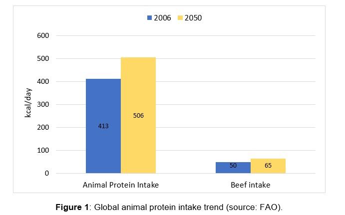 Improved Performance of Grass-fed Beef supplemented with Silvafeed® ByPro - Image 1
