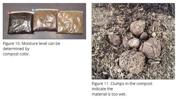 Rotary Drum Composting of Poultry Mortalities - Image 4