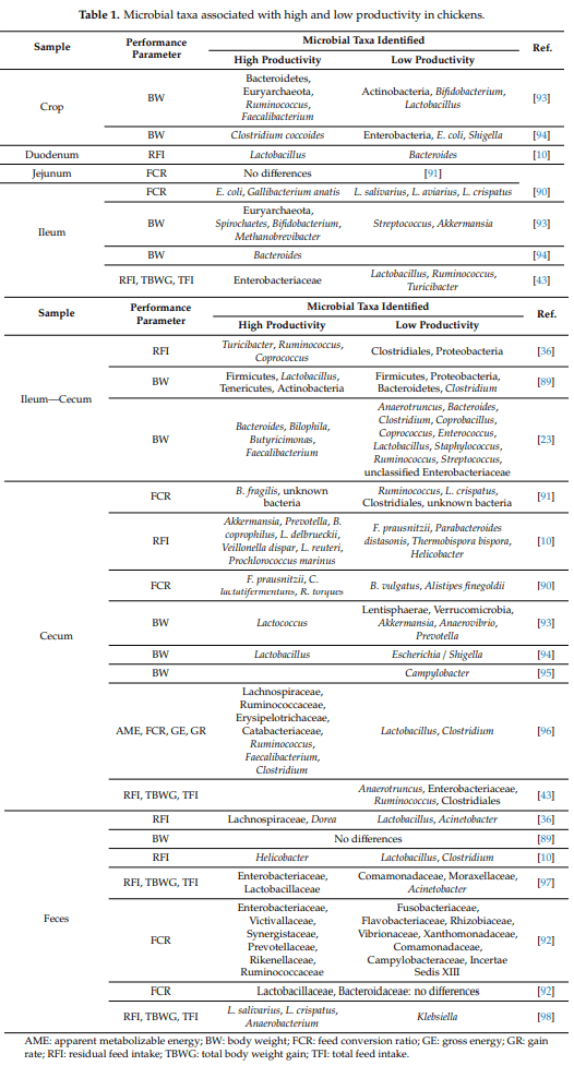 Microbiota, Gut Health and Chicken Productivity: What Is the Connection? - Image 2