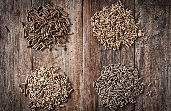 Optimising pellet processing to boost pellet quality and profitability - Image 1
