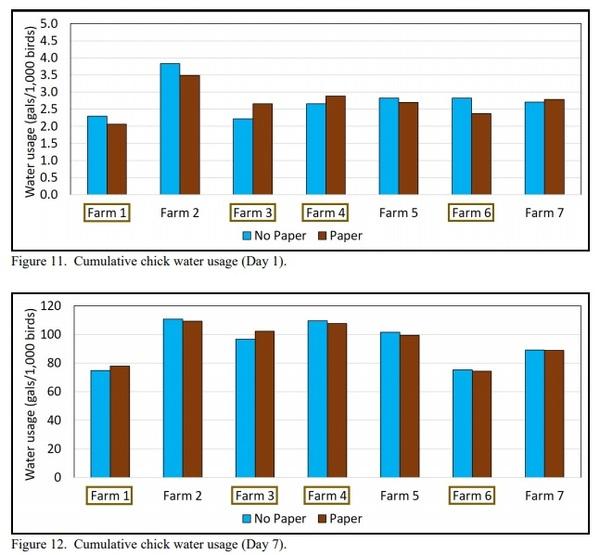 Does Placing Paper Under Drinker Lines Improve Chick Performance? - Image 6