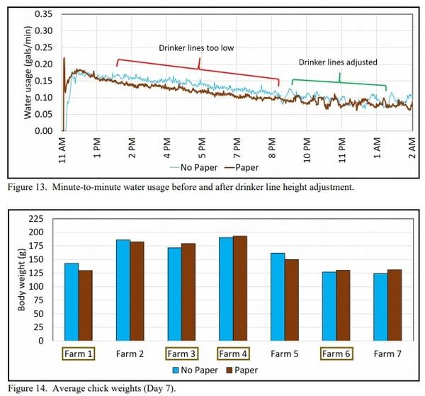 Does Placing Paper Under Drinker Lines Improve Chick Performance? - Image 7