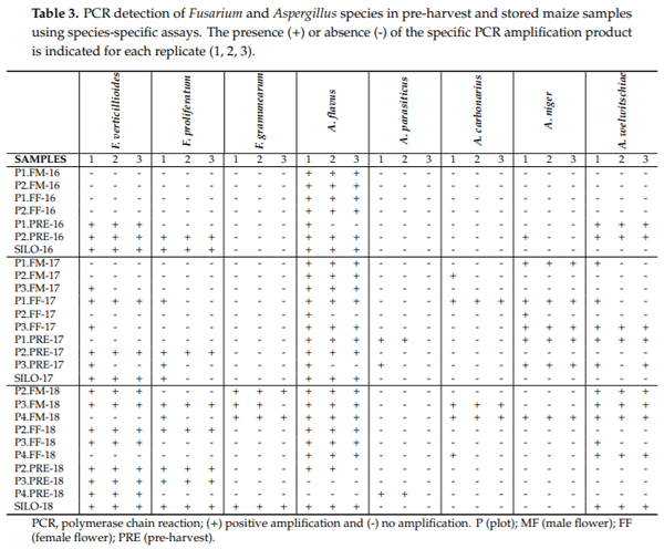 A Comprehensive Study on the Occurrence of Mycotoxins and Their Producing Fungi during the Maize Production Cycle in Spain - Image 4