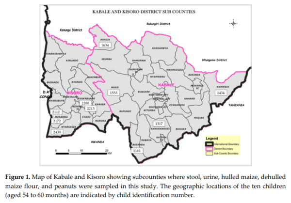 Aflatoxins: Occurrence, Exposure, and Binding to Lactobacillus Species from the Gut Microbiota of Rural Ugandan Children - Image 1
