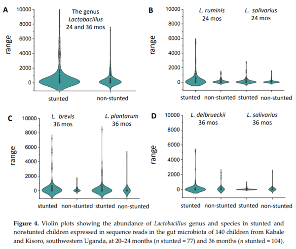 Aflatoxins: Occurrence, Exposure, and Binding to Lactobacillus Species from the Gut Microbiota of Rural Ugandan Children - Image 7