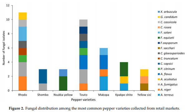 Identification and Toxigenic Potential of Fungi Isolated from Capsicum Peppers - Image 2