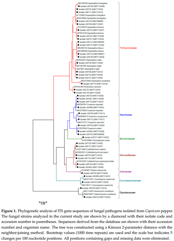 Identification and Toxigenic Potential of Fungi Isolated from Capsicum Peppers - Image 1