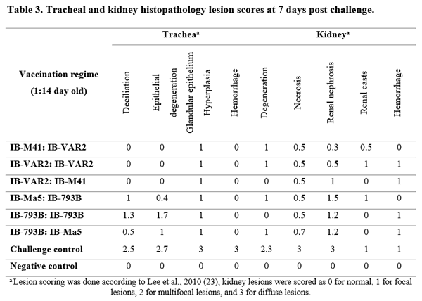Protective Efficacy of Different Live Attenuated Infectious Bronchitis Virus Vaccination Regimes Against Challenge With IBV Variant-2 Circulating in the Middle East - Image 5