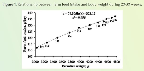 How to Improve the Fertility and Hatchability in Broiler Breeders - Image 1