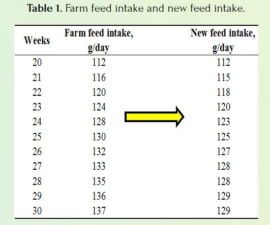 How to Improve the Fertility and Hatchability in Broiler Breeders - Image 2