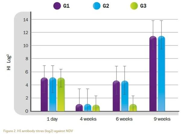 Approach to Genotype VII Newcastle Disease with a high incidence in the Middle East Region and North Africa - Image 4