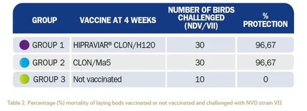 Approach to Genotype VII Newcastle Disease with a high incidence in the Middle East Region and North Africa - Image 2