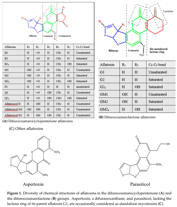 Aflatoxins: Producing-Molds, Structure, Health Issues and Incidence in Southeast Asian and Sub-Saharan African Countries - Image 4