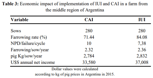 Improved farrowing rate using intrauterine insemination in sows - Image 3