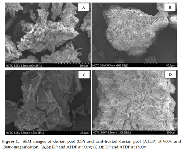 The Effectiveness of Durian Peel as a Multi-Mycotoxin Adsorbent - Image 1