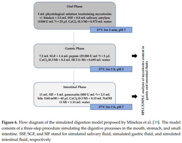 The Effectiveness of Durian Peel as a Multi-Mycotoxin Adsorbent - Image 12