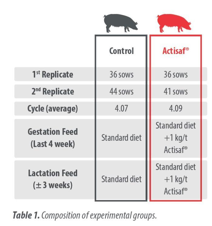 Yeast probiotic solution in hyper prolific sows to improve weaning piglet weight & reduce mortality in lactation - Image 2