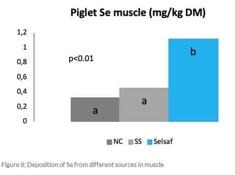 Selsaf®, a natural source of selenium with dual protection and dual benefits - Image 9