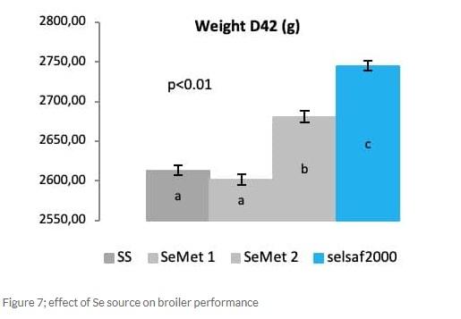 Selsaf®, a natural source of selenium with dual protection and dual benefits - Image 8