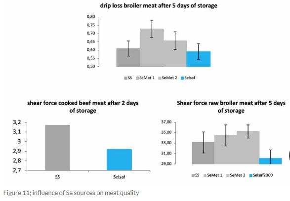 Selsaf®, a natural source of selenium with dual protection and dual benefits - Image 12